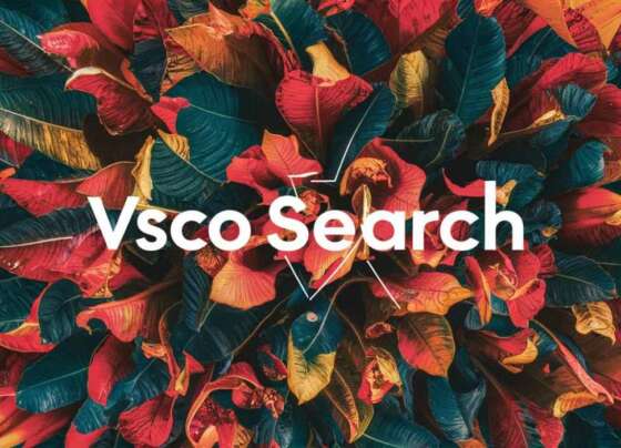 vsco search