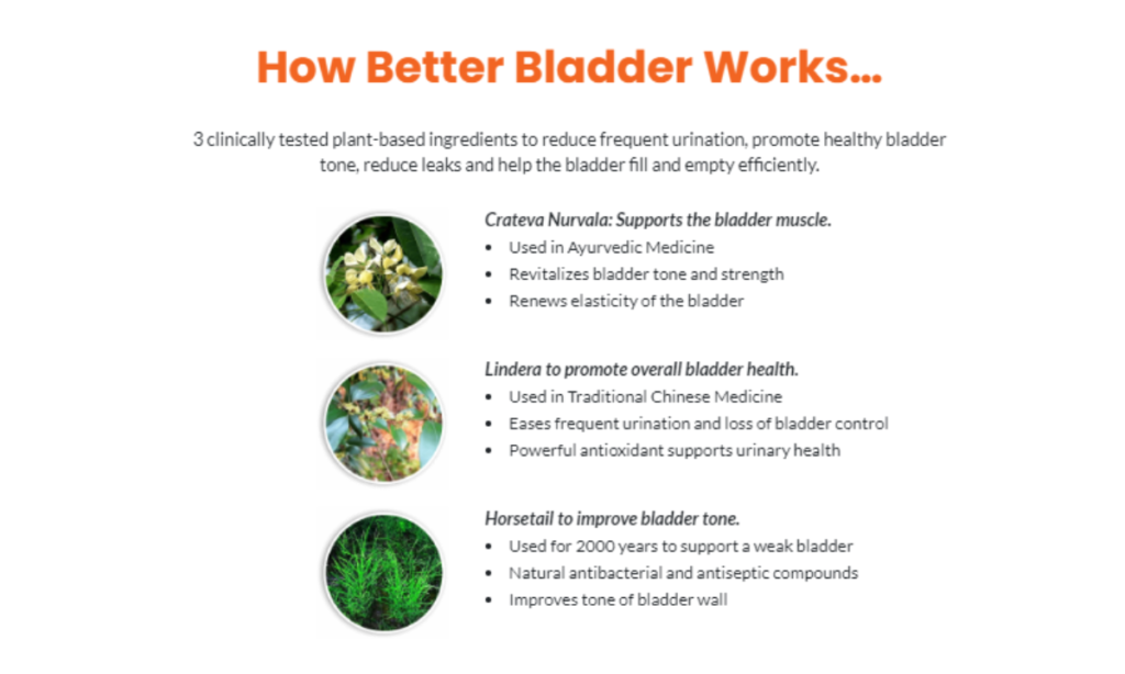 Better Bladder