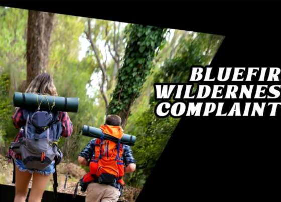 bluefire wilderness therapy complaints